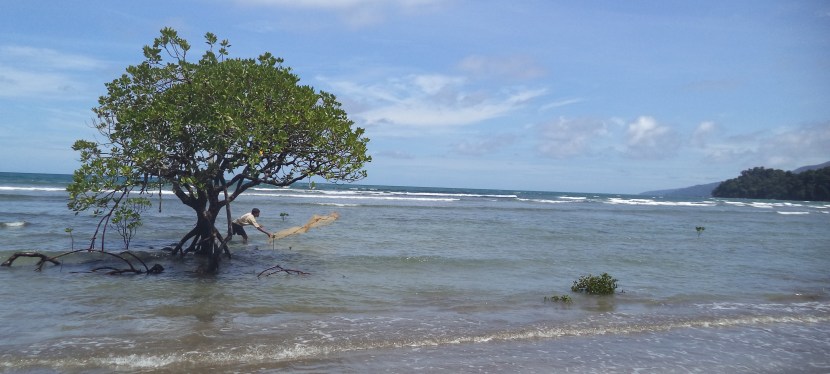 My Budget Travel Guide to off -beat ANDAMAN- To North of Port Blair- Travel to Diglipur And Mayabunder- Part III