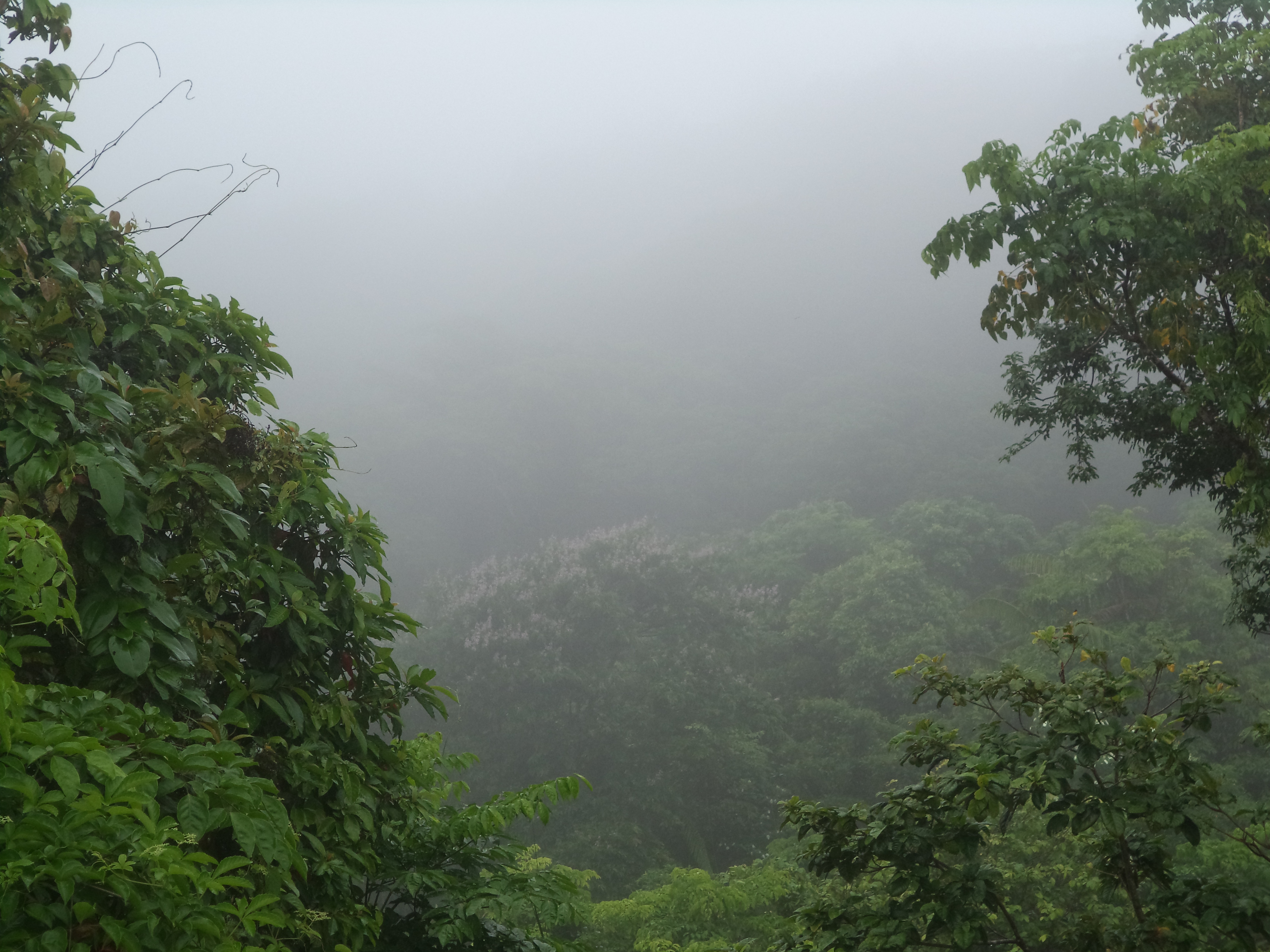 places to see in Port Blair, Andaman. what to see in Port Blair. Things to do in Port Blair