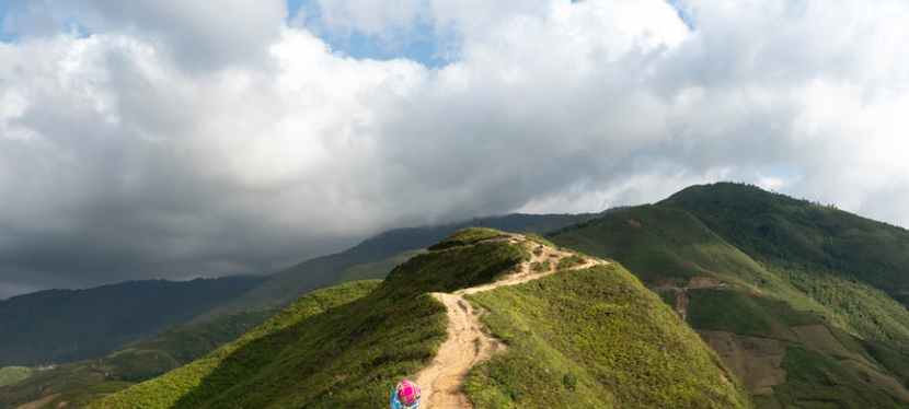 Wings to Turtle- Turtle Got&nbsp;Wings…