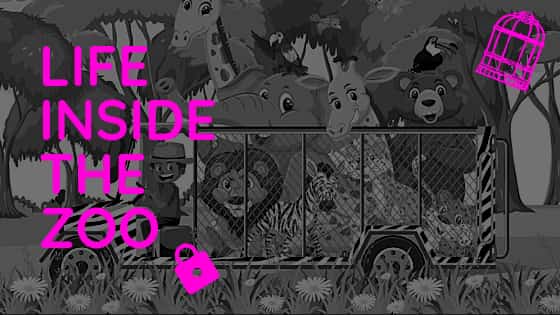 Life inside the&nbsp;Zoo