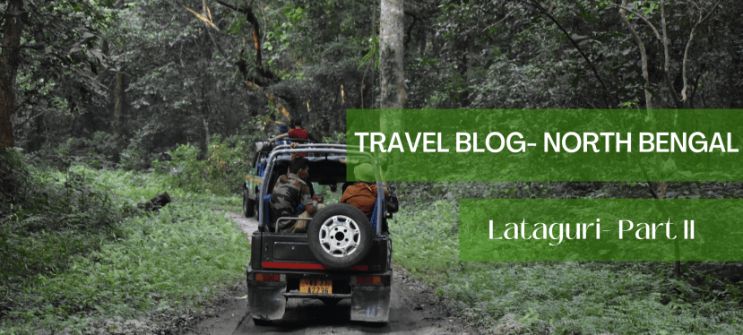 North Bengal Travel Blog Post: LATAGURI Part II- Jungle&nbsp;Safari