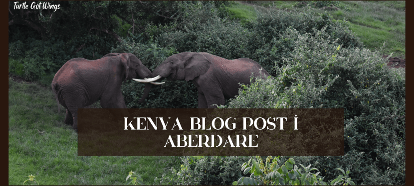 Blog Post: Kenya Travel Plan-&nbsp;Aberdare