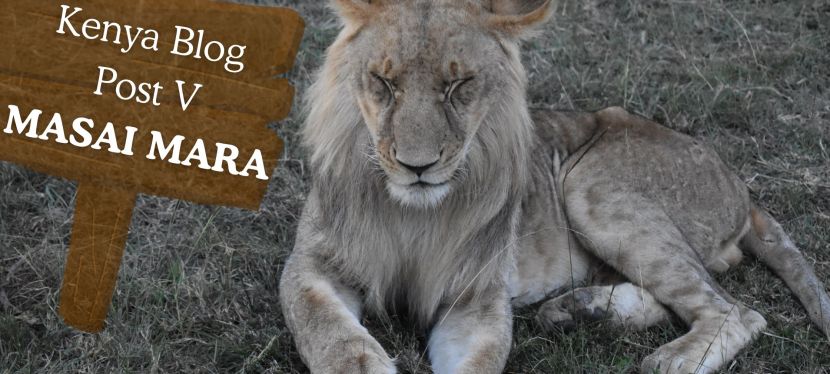 Blog Post: Kenya Travel Plan- MASAI&nbsp;MARA